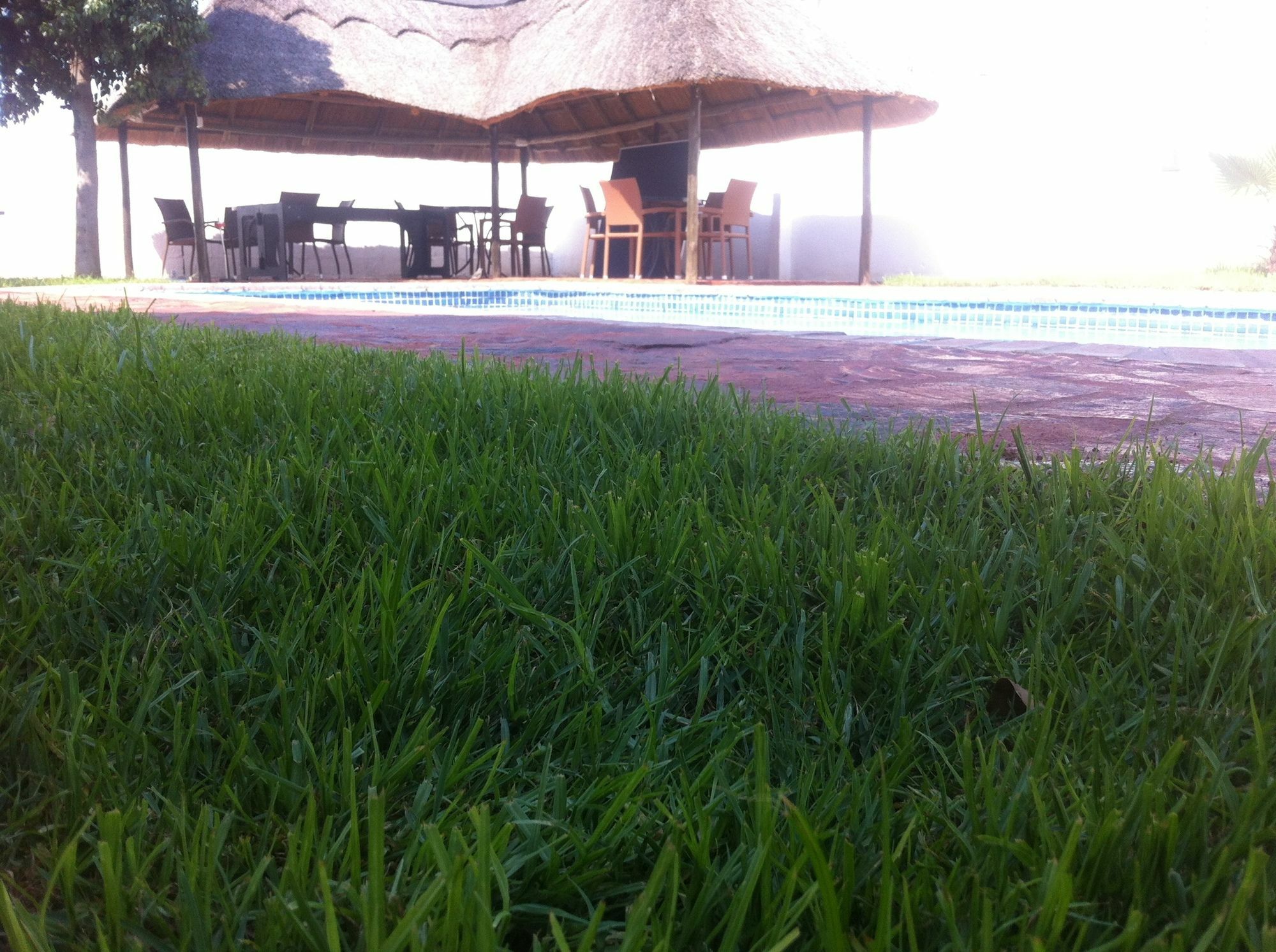 Cosy Palms Bed & Breakfast Gaborone Luaran gambar