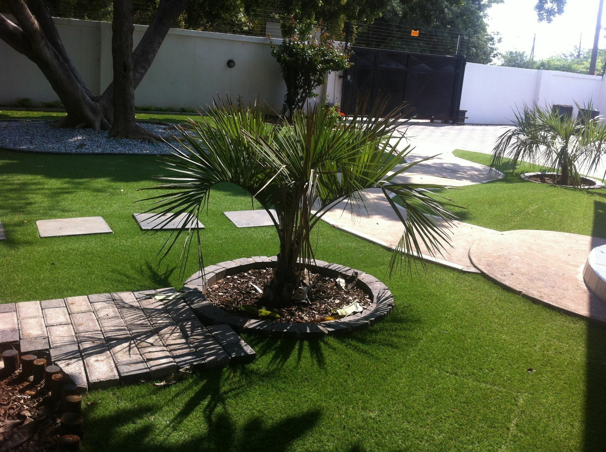 Cosy Palms Bed & Breakfast Gaborone Luaran gambar