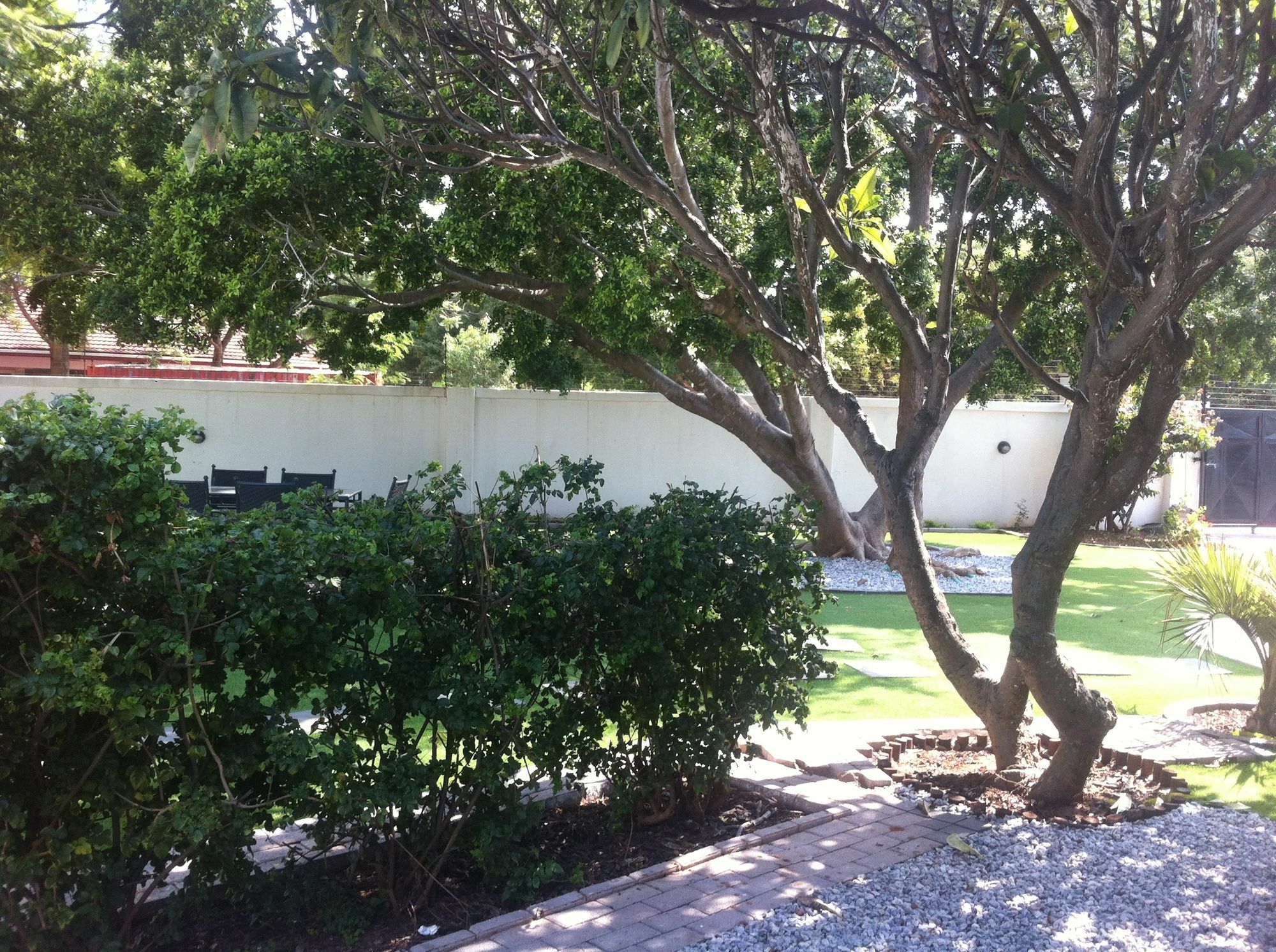 Cosy Palms Bed & Breakfast Gaborone Luaran gambar